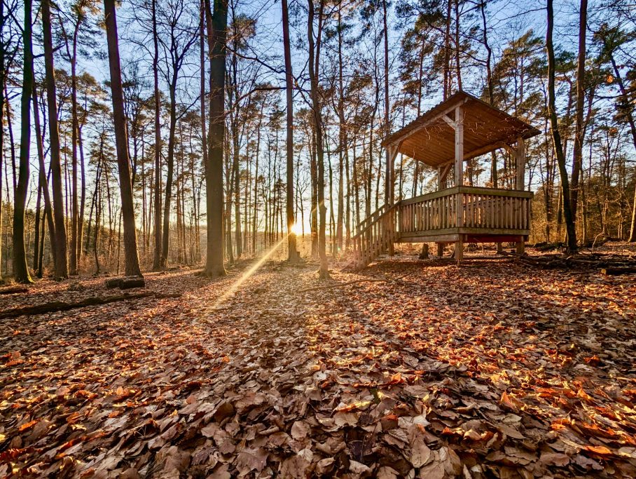 Waldspielgelände